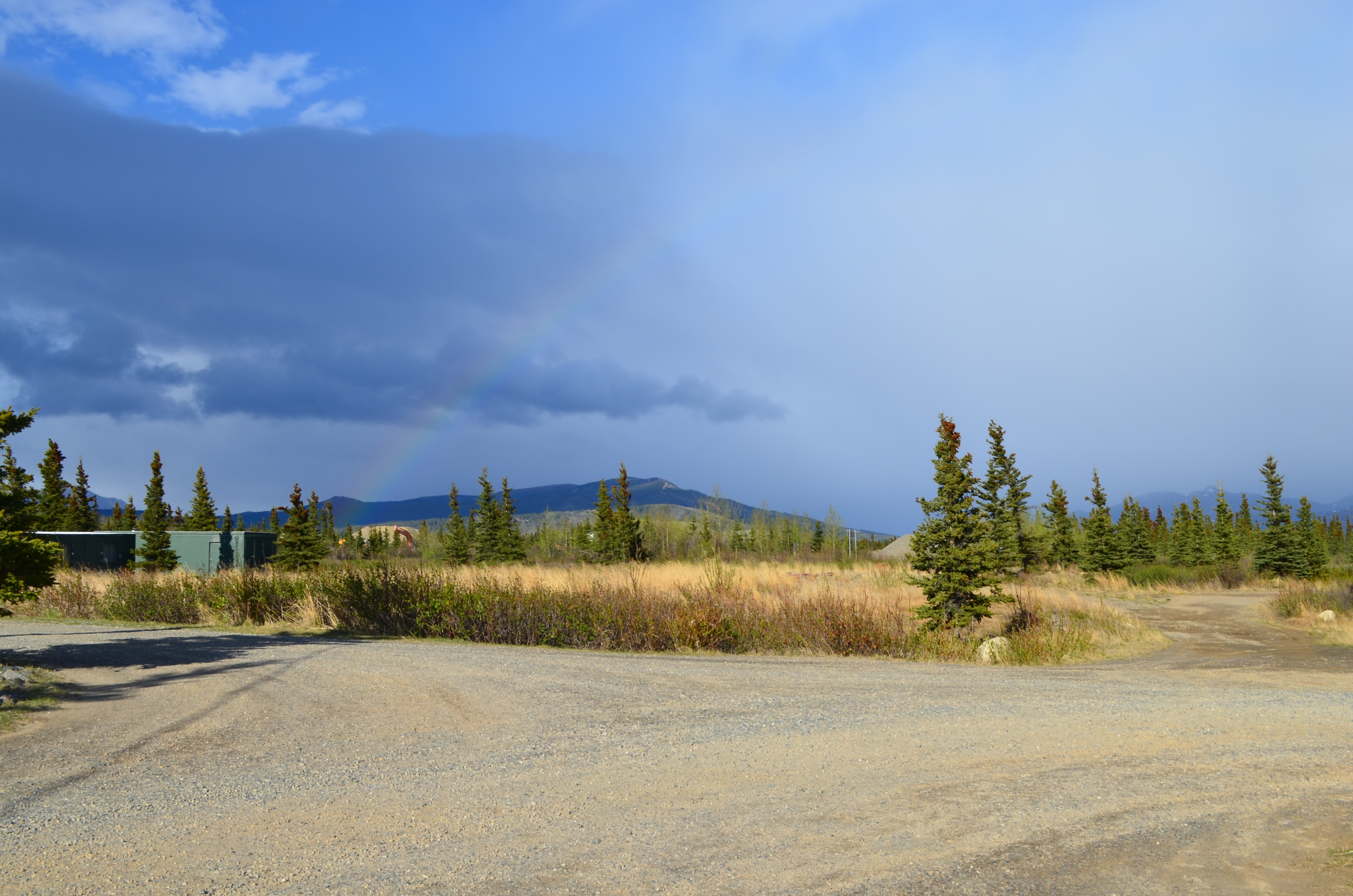 ./2017/08 - Alaska Cruise/03 - Denali/DSC_0154.JPG
